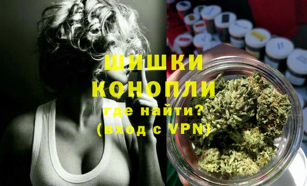 СК Каменка