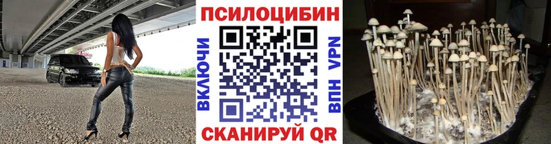 Псилоцибиновые грибы Magic Shrooms  Купить где  Байкальск 